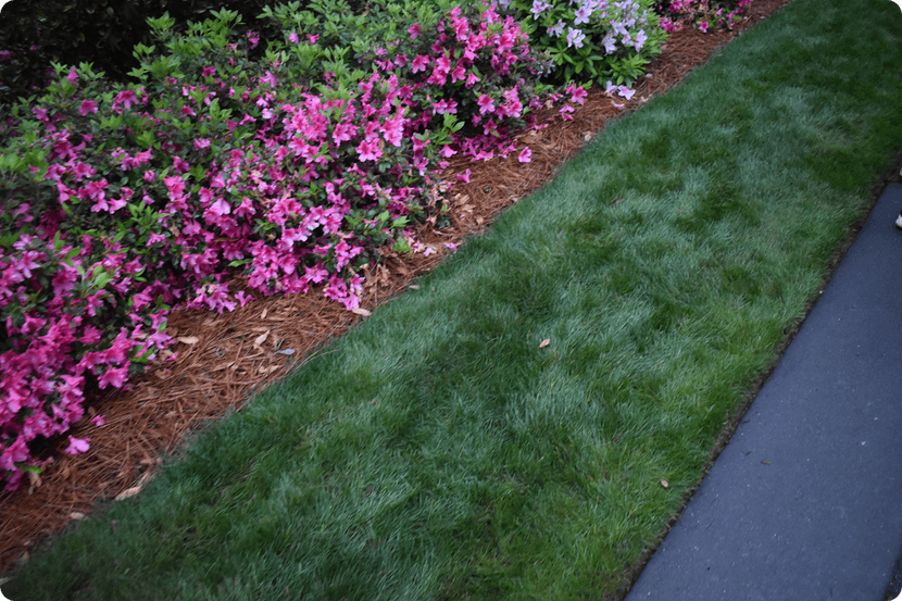 Allee-entree-DSC_0655